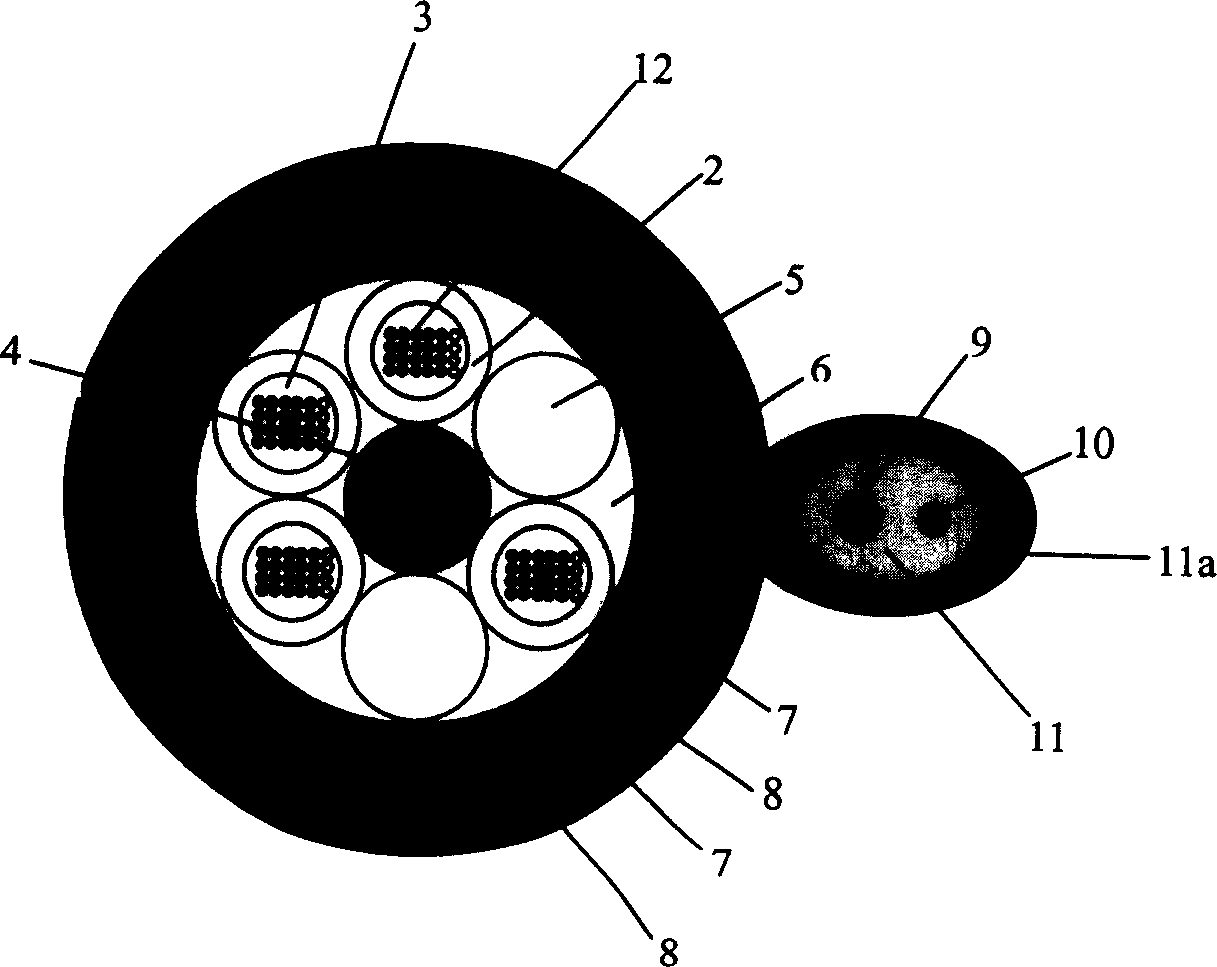 Mixed optical cable with sensing and communication function and producing method thereof