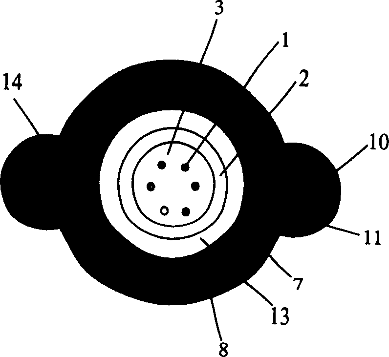 Mixed optical cable with sensing and communication function and producing method thereof