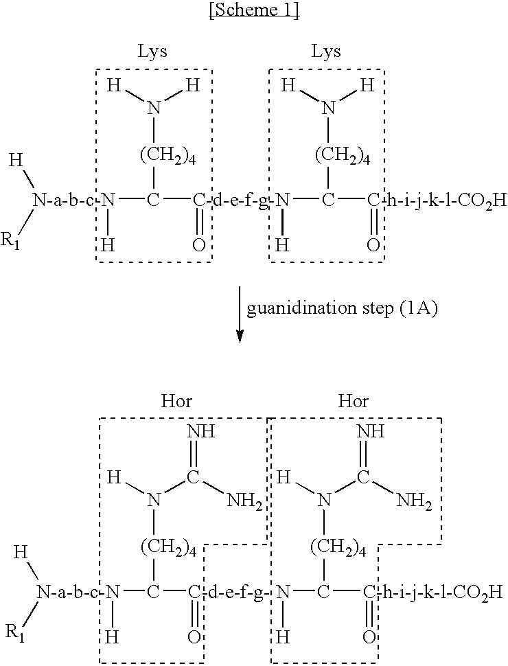 Method for selectively collecting N-terminal peptide fragment of protein