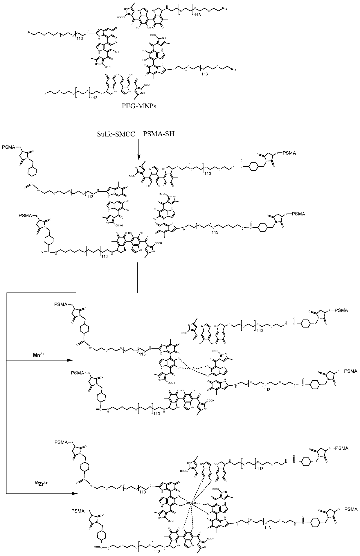 Novel three-modal prostate cancer targeted nanoparticle developer and preparation method thereof