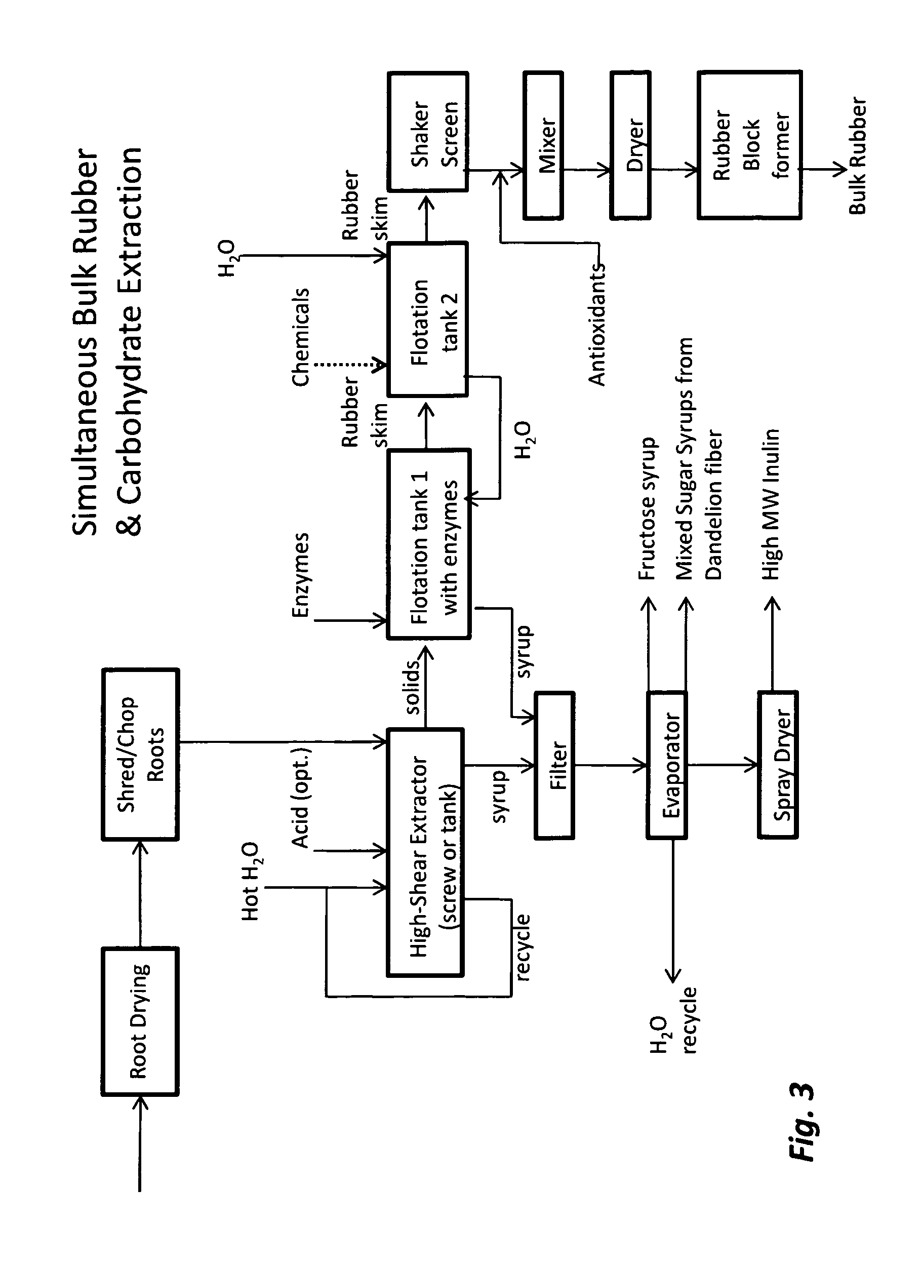 Dandelion processes, compositions and products