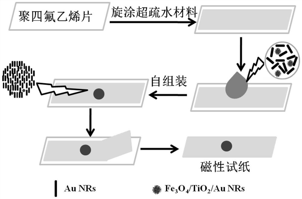 Magnetic test paper for detecting nitrite based on SERS and its preparation and use method