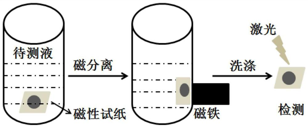 Magnetic test paper for detecting nitrite based on SERS and its preparation and use method