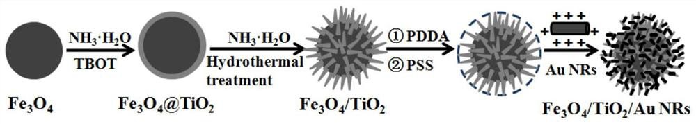 Magnetic test paper for detecting nitrite based on SERS and its preparation and use method