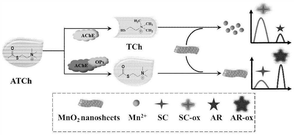 Detection of organophosphorus pesticides by ratiometric fluorescent sensor based on manganese dioxide nanosheets