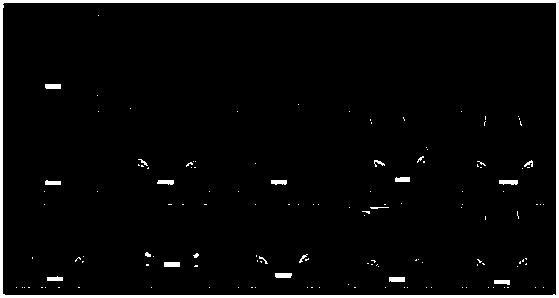 Fast surveillance site image vehicle retrieval method and system based on deep learning