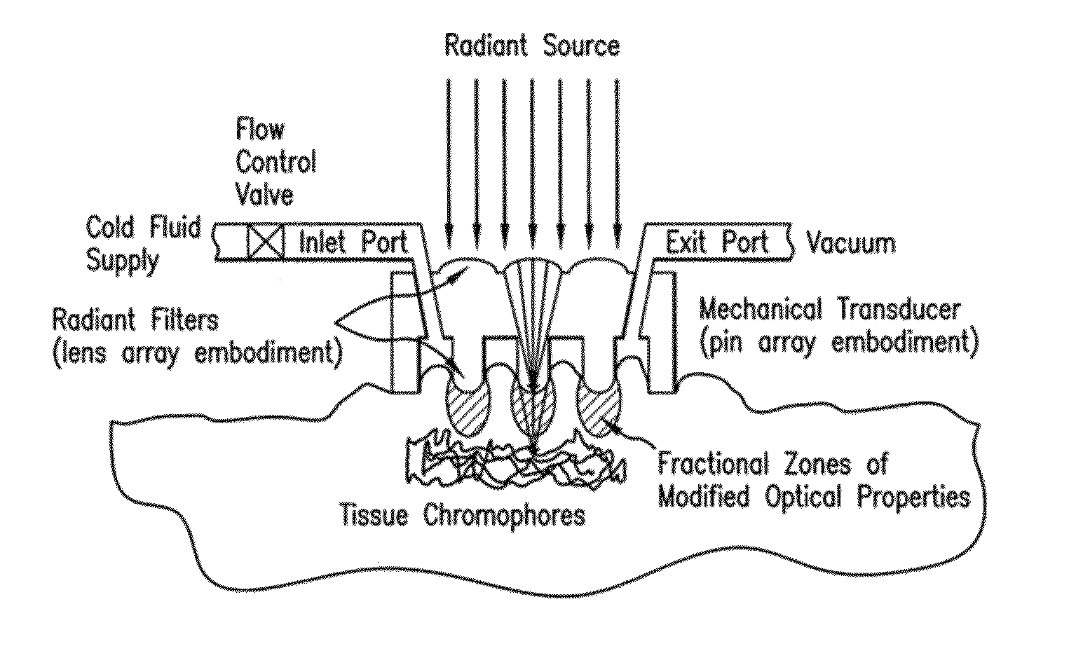 System, devices, and methods for optically clearing tissue