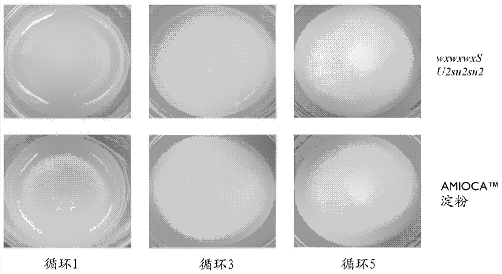 Compositions and methods for producing starch with novel functionality