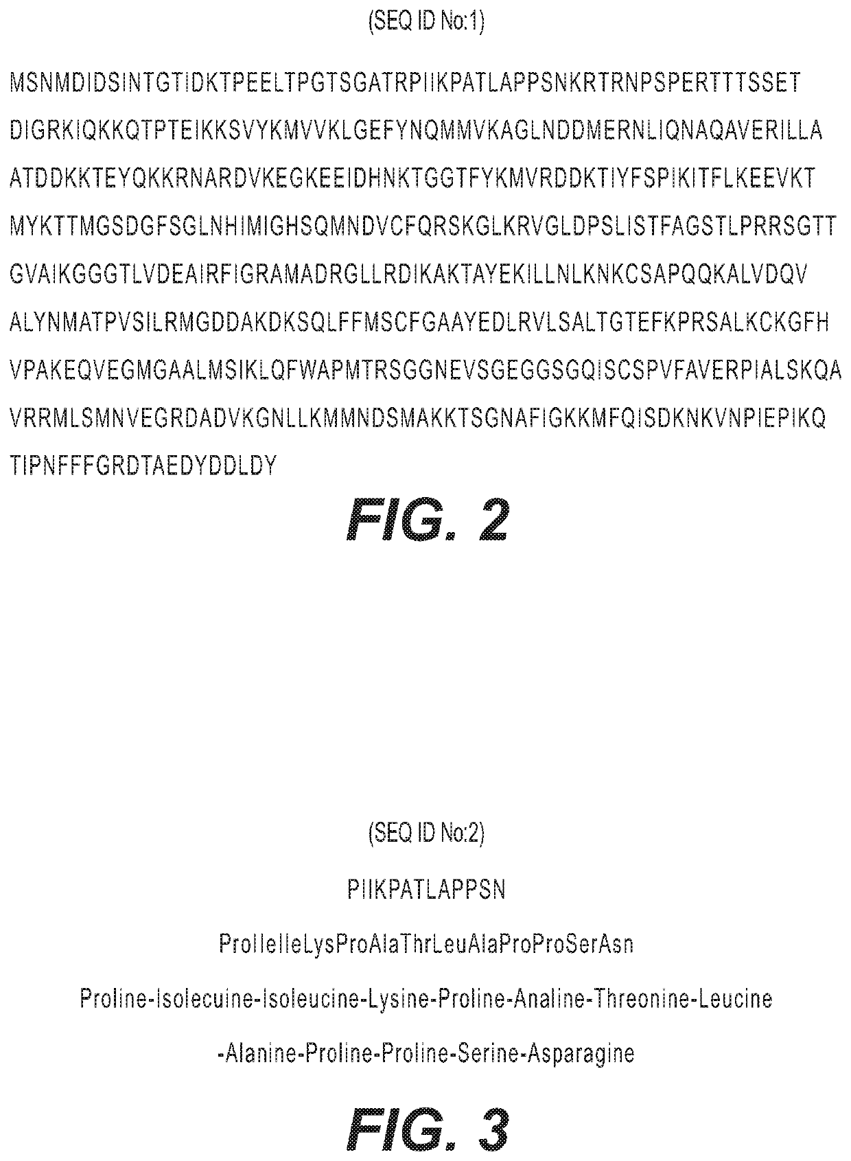 Antibody pairs for use in a rapid influenza b diagnostic test