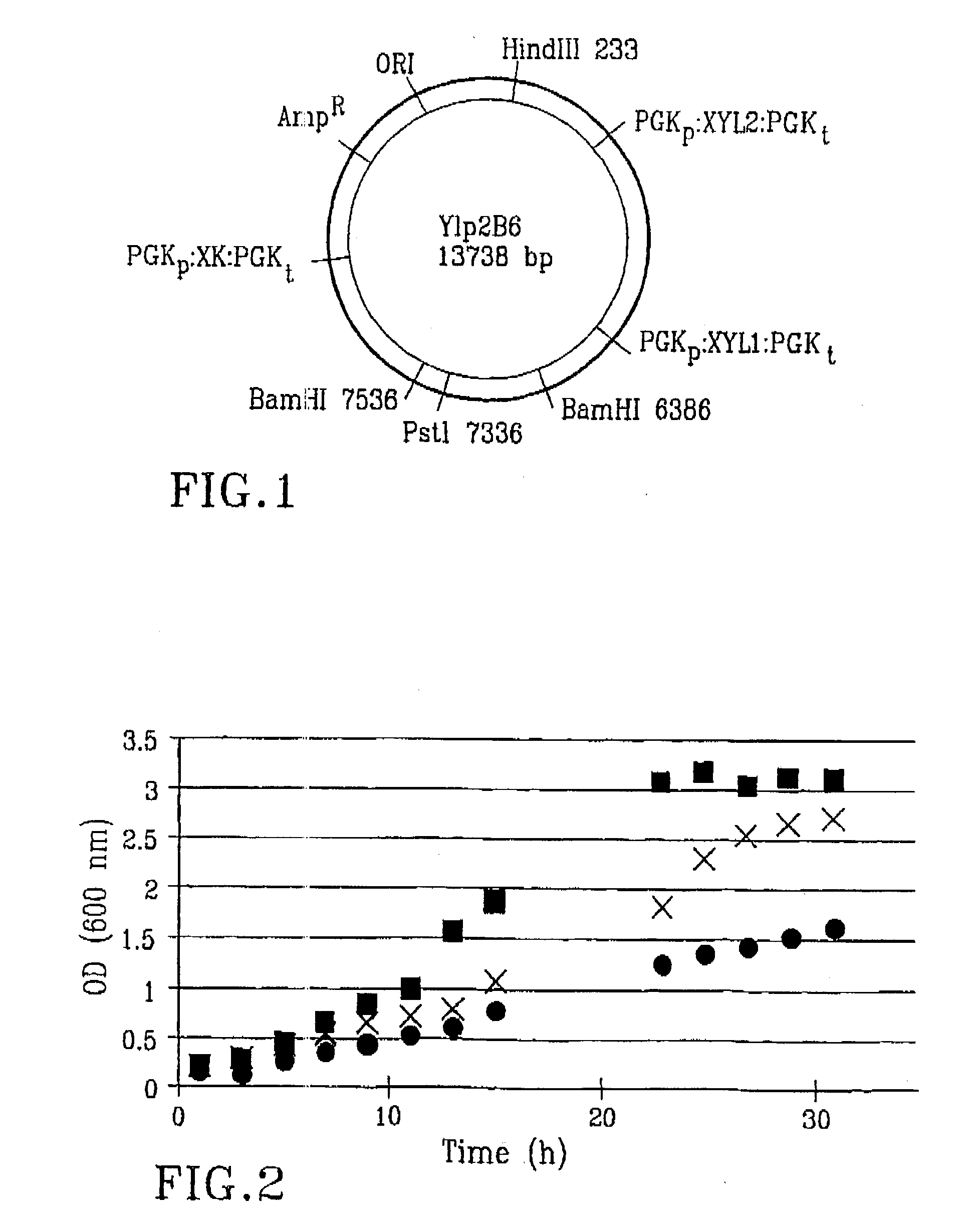 Recombinant yeast for lignocellulose raw materials