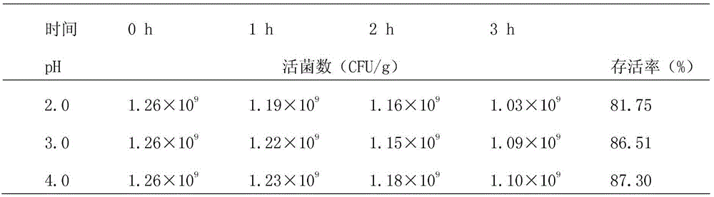 Probiotic preparation containing Lactobacillus plantarum and Bacillus licheniformis and preparation method thereof