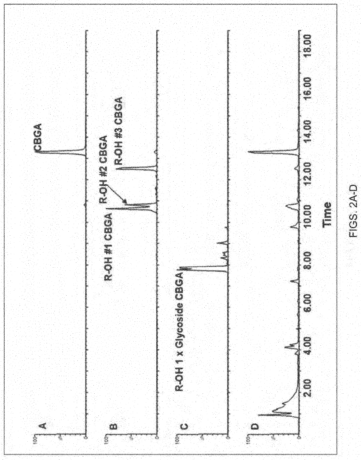 Compositions And Methods For Glycosylating Cannabinoid Compounds