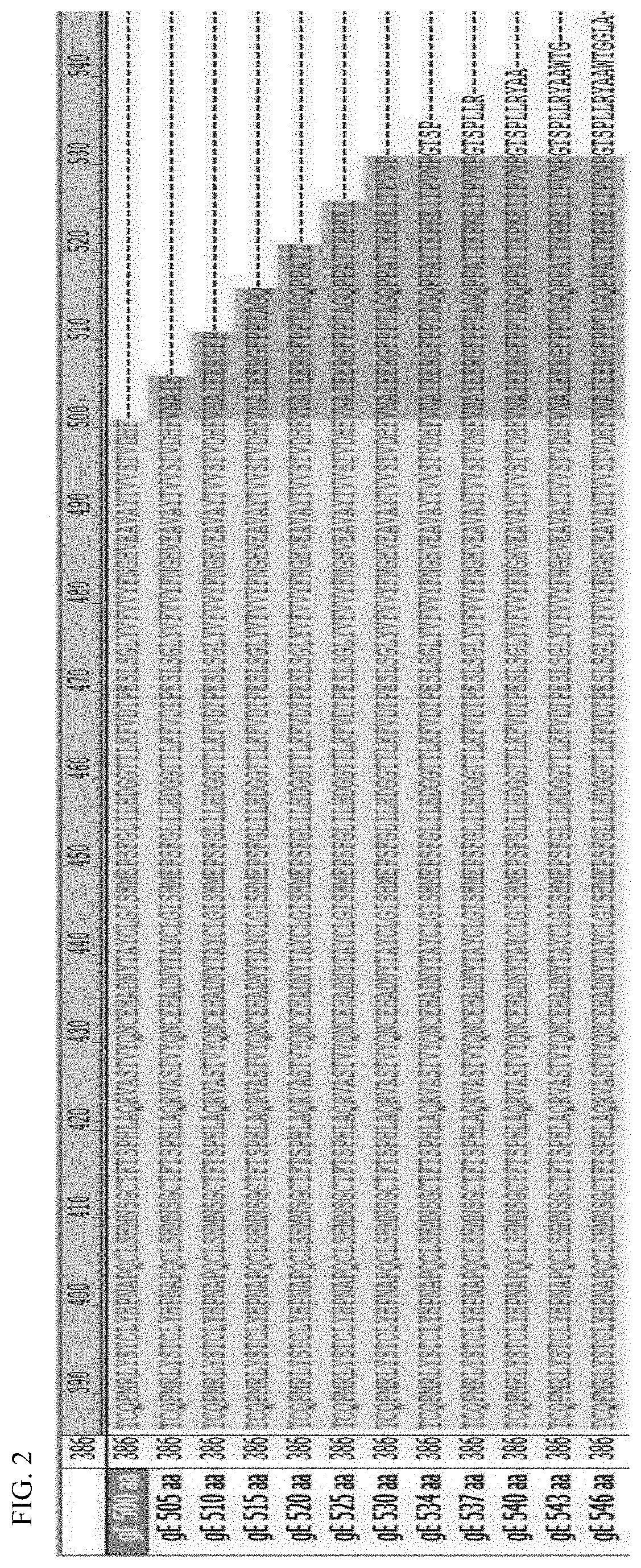 Antigen variant of varicella zoster virus and use thereof