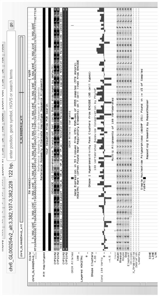 Primer Combination and Its Application for Detection of Skin Anti-Acne Ability Gene