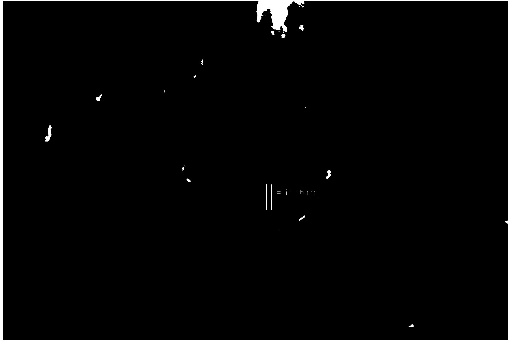 Natural mineral fertilizer containing nano silicon and preparation method thereof