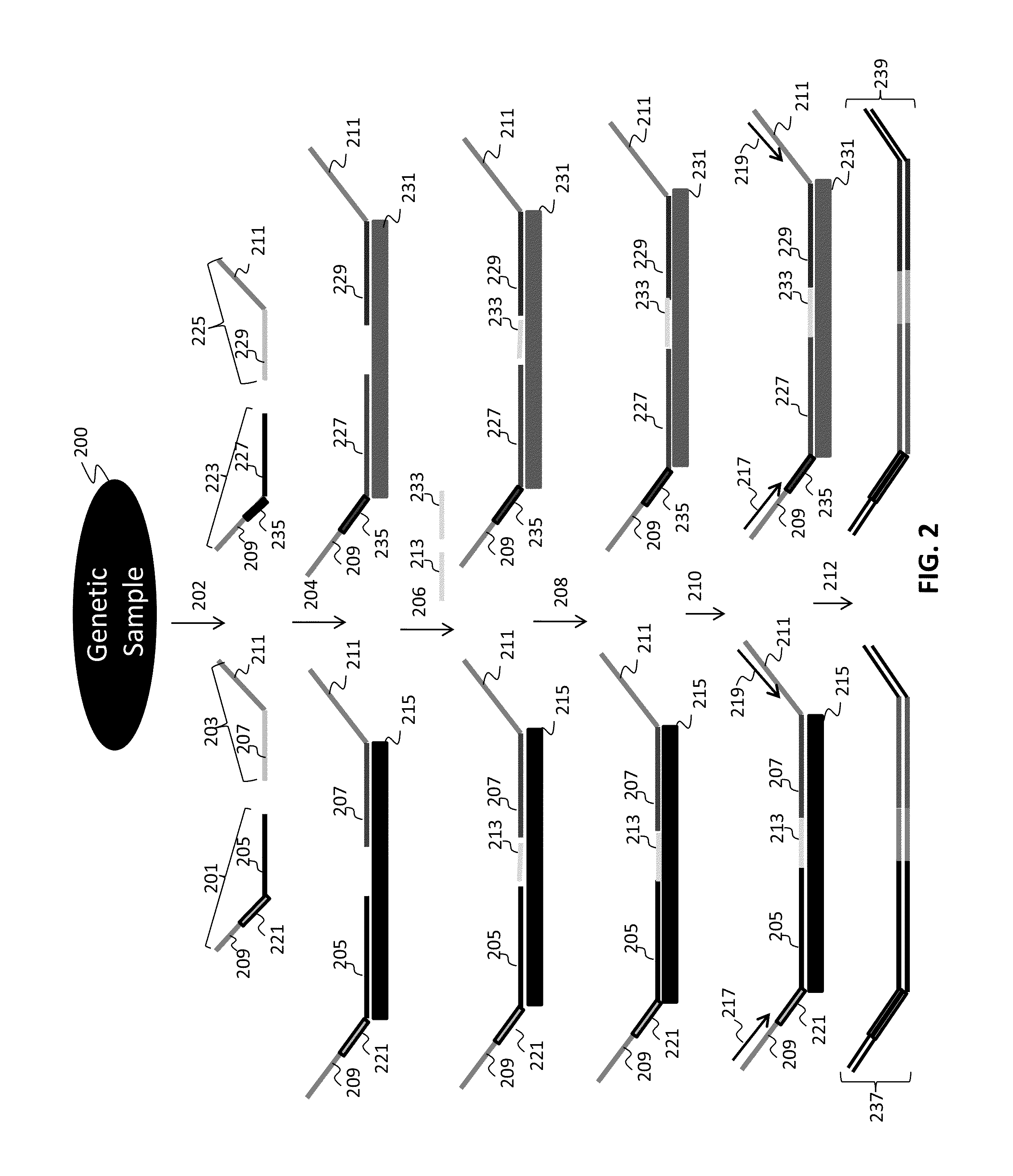 Statistical analysis for non-invasive sex chromosome aneuploidy determination