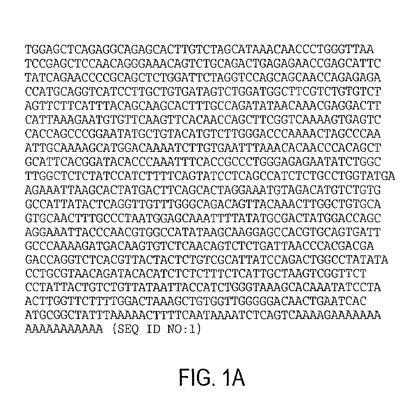 RTVP based compositions and methods for the treatment of prostate cancer