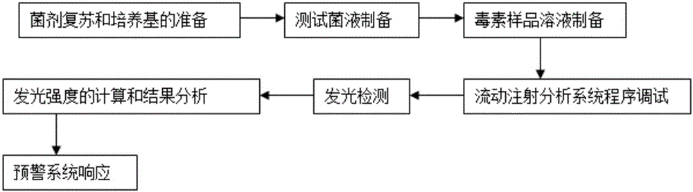 Luminous bacterium flow injection method for quickly detecting and warning food-borne toxin pollution and application of luminous bacterium flow injection method