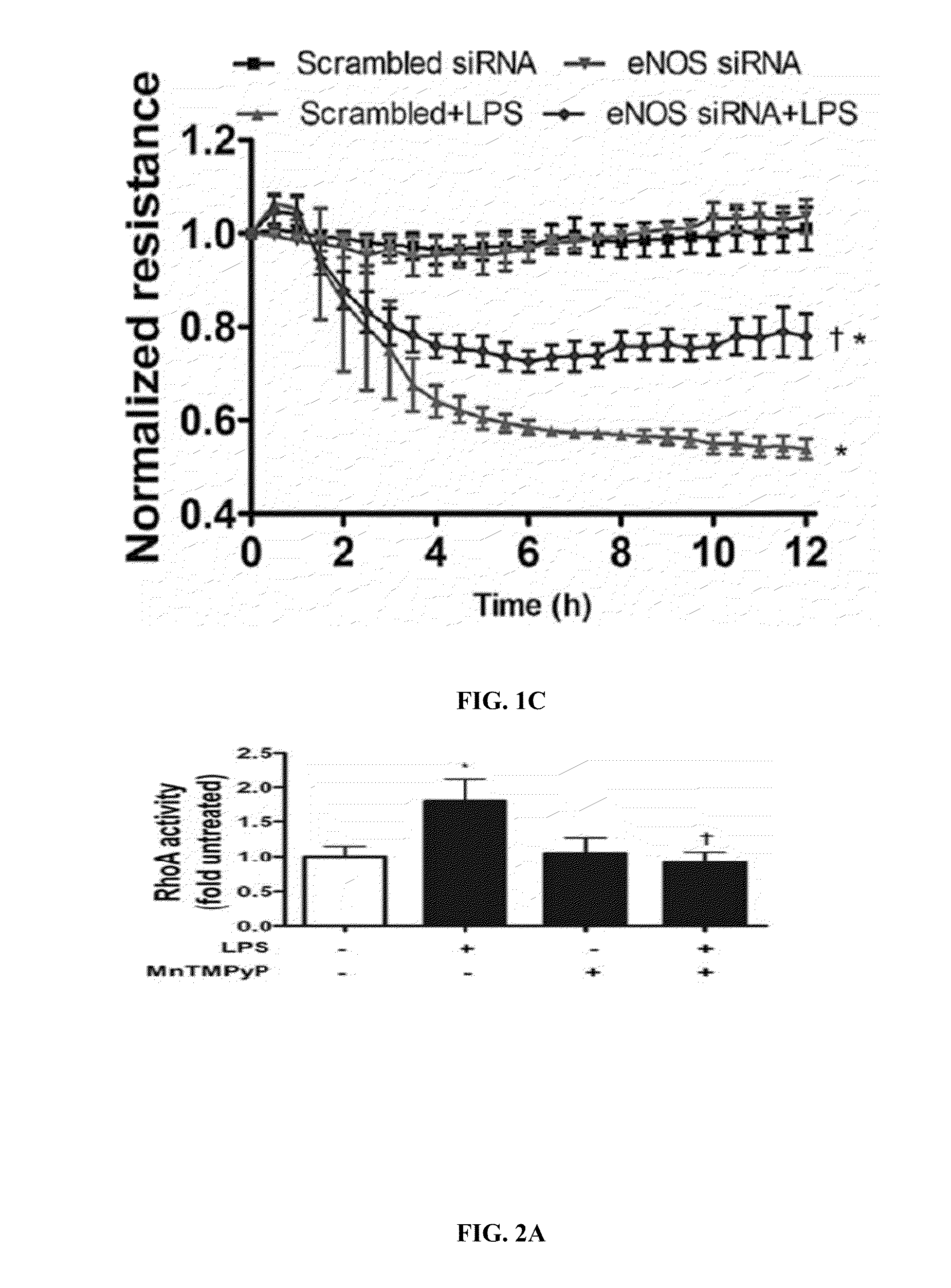 Nitration shielding peptides and methods of use thereof