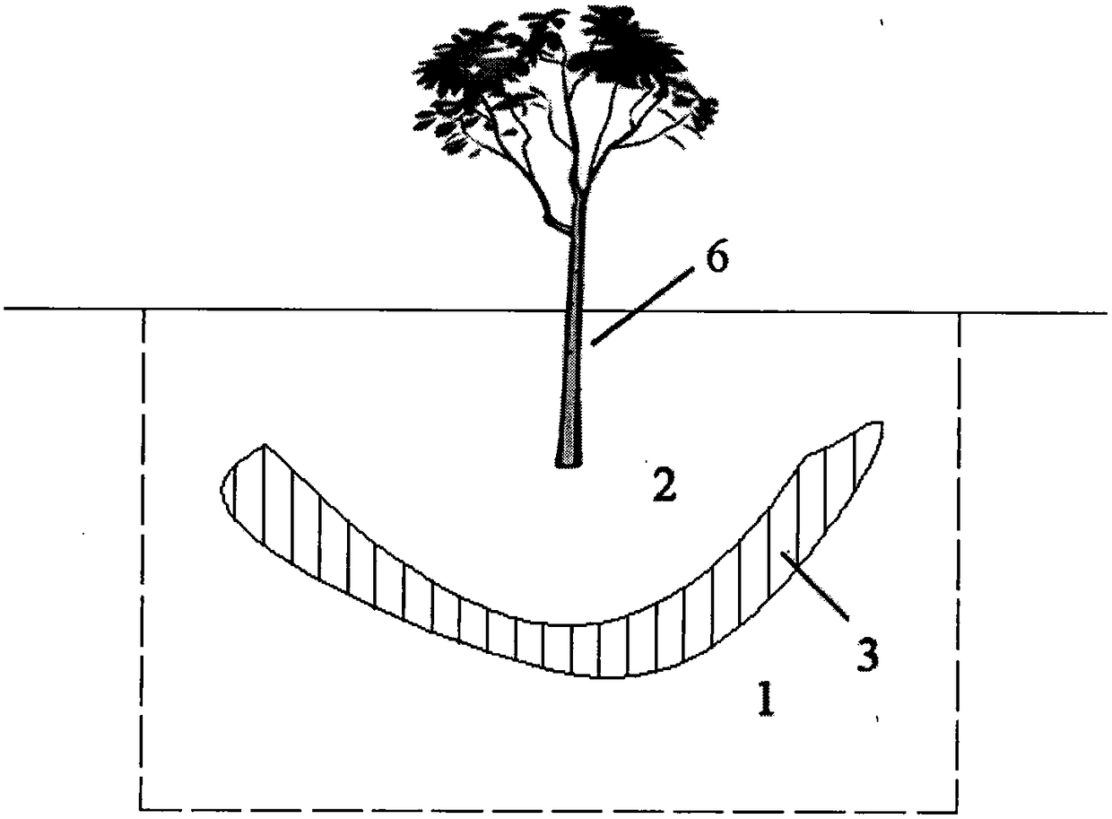 Planting structure and method in desert, sandy land and saline-alkali land