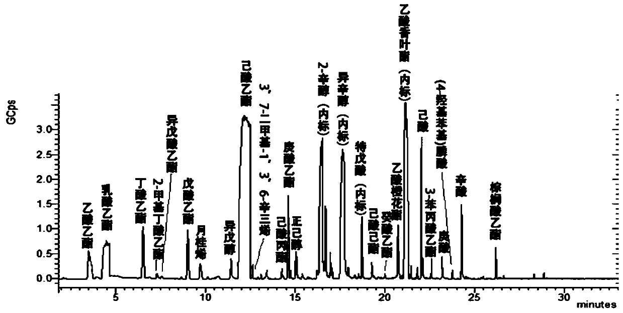 Method for separating and enriching Baijiu-based flavor substances from wine brewing yellow serofluid