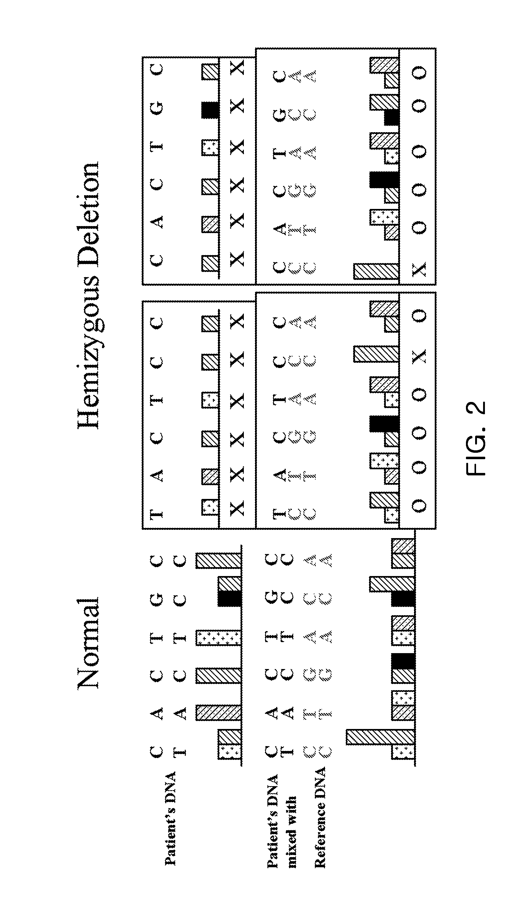 Method for measuring chromosome, gene or specific nucleotide sequence copy numbers using SNP array