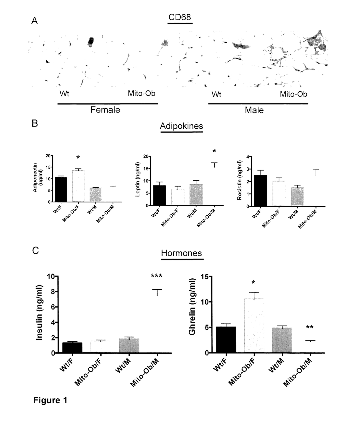 Uses of mito-ob transgenic mice