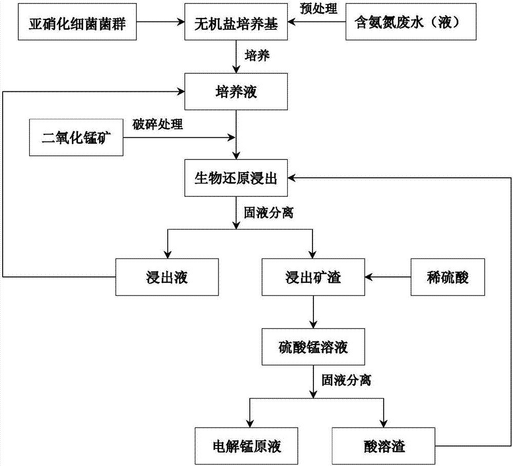 Method for digesting manganese in manganese oxide ore through reduction with nitrosobacteria and dissolution and dilution with dilute acid