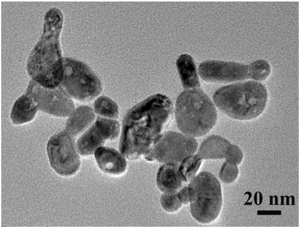 Praseodymium-doped lanthanum fluoride organic-inorganic hybrid nanometer powder and its preparation method and use