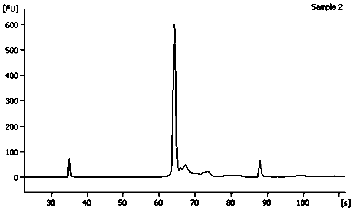 High-throughput sequencing method of macrobenthos COI genes and application of high-throughput sequencing method of macrobenthos COI genes