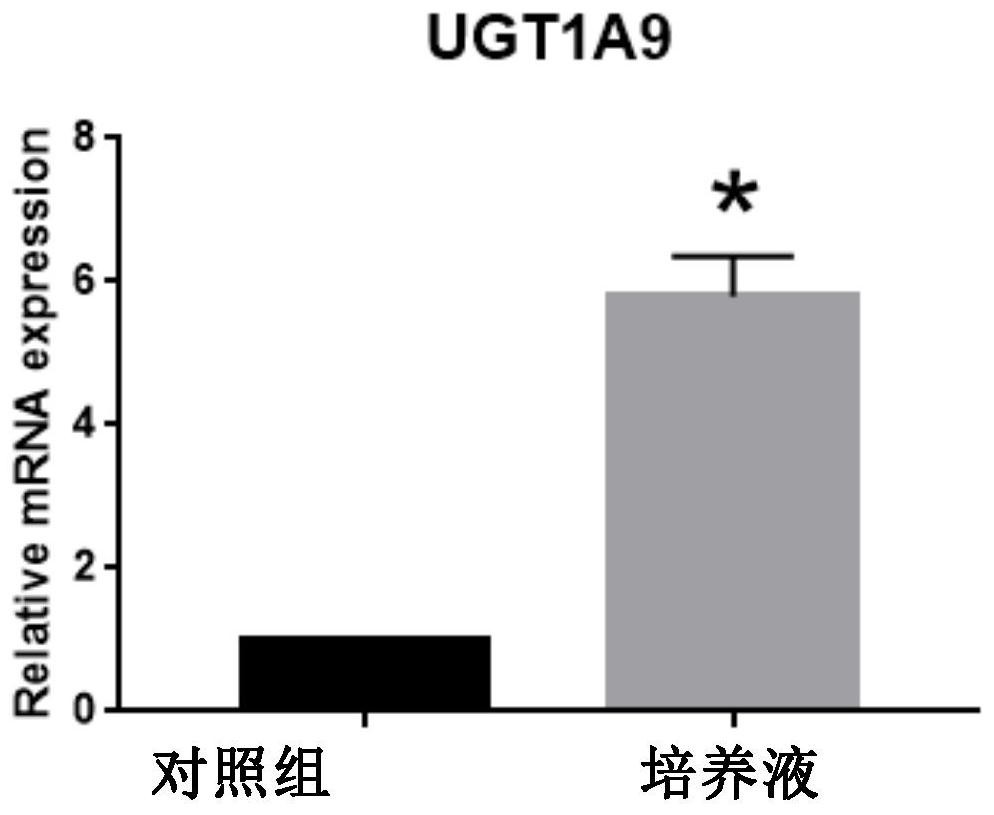 Culture method for enhancing functionality of hepatocytes and used hepatocyte culture solution