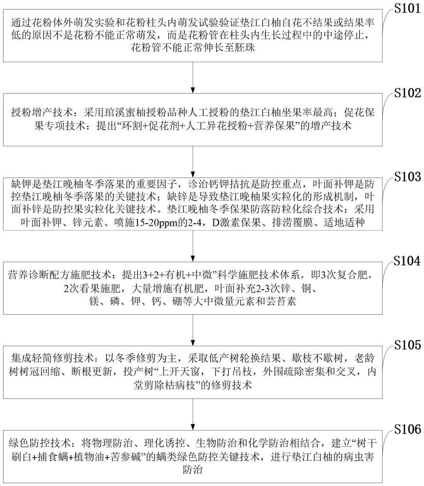 White pomelo high-yield method