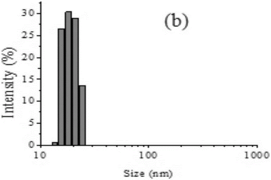 Method for preparing particle-size-controllable type starch nanoparticles by emulsifier assistant biological enzyme method