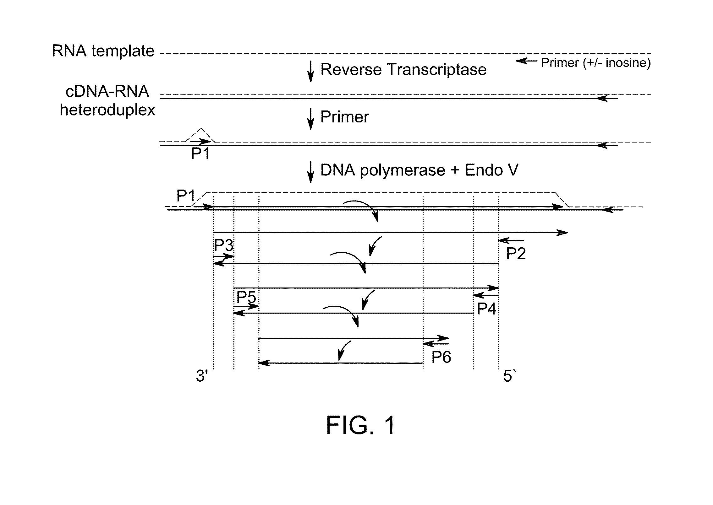 Kit for isothermal DNA amplification starting from an RNA template