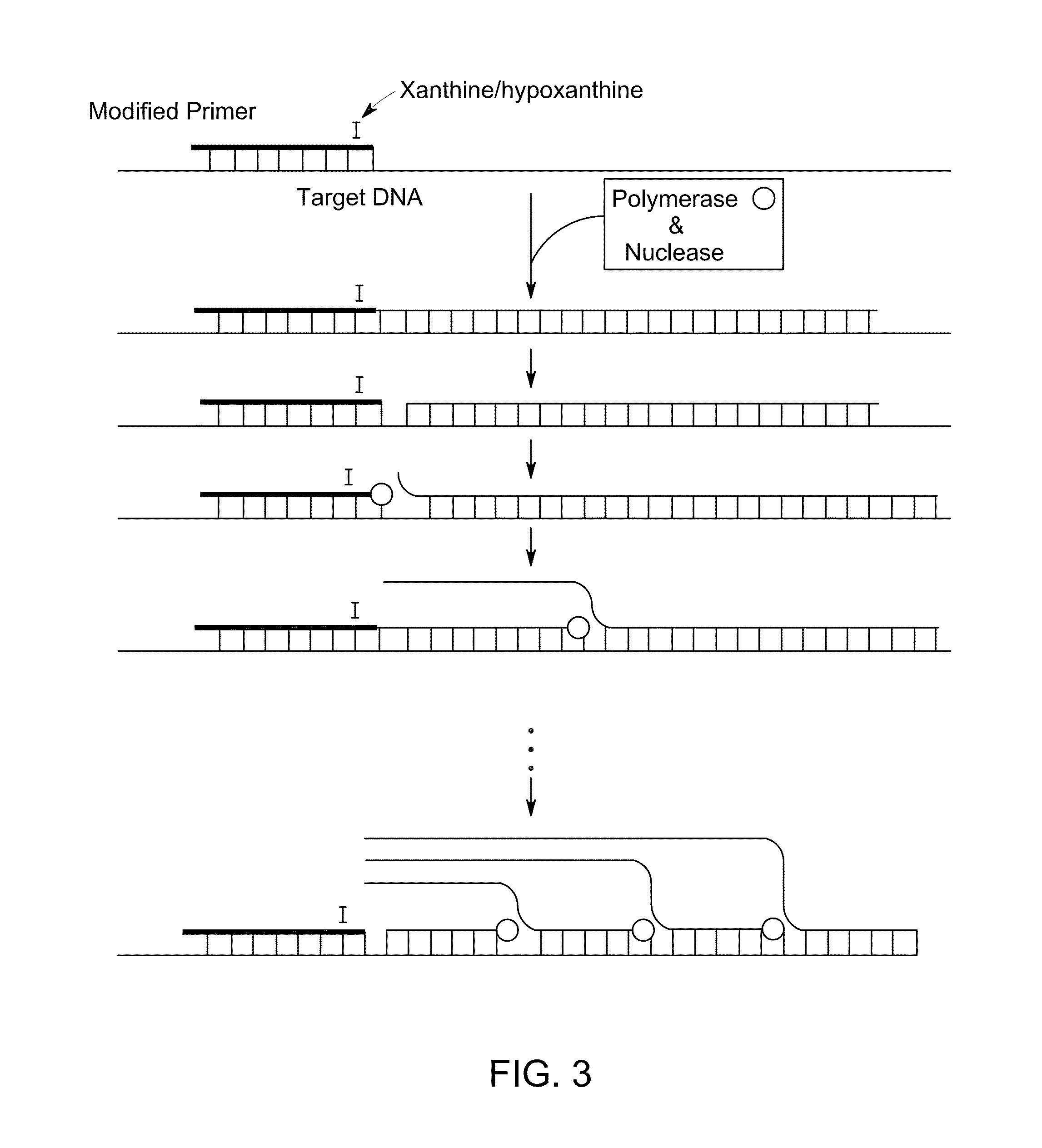 Kit for isothermal DNA amplification starting from an RNA template