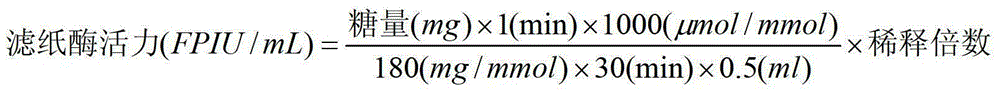 A kind of preparation method of nano immobilized cellulase