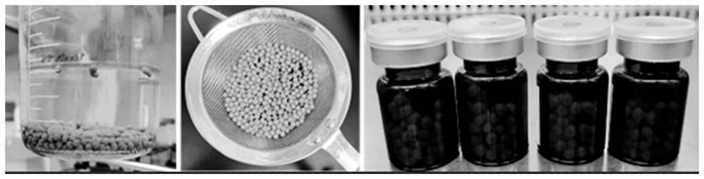 Oral capsule for intestinal flora transplantation and preparation method thereof