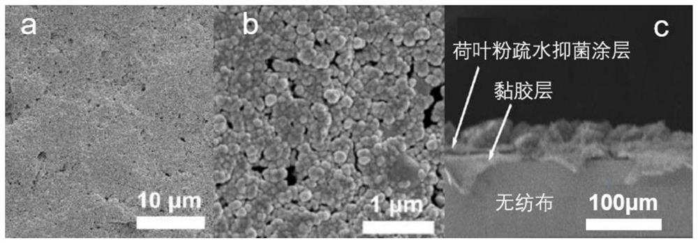 A kind of hydrophobic and antibacterial multifunctional coated cloth and preparation method thereof