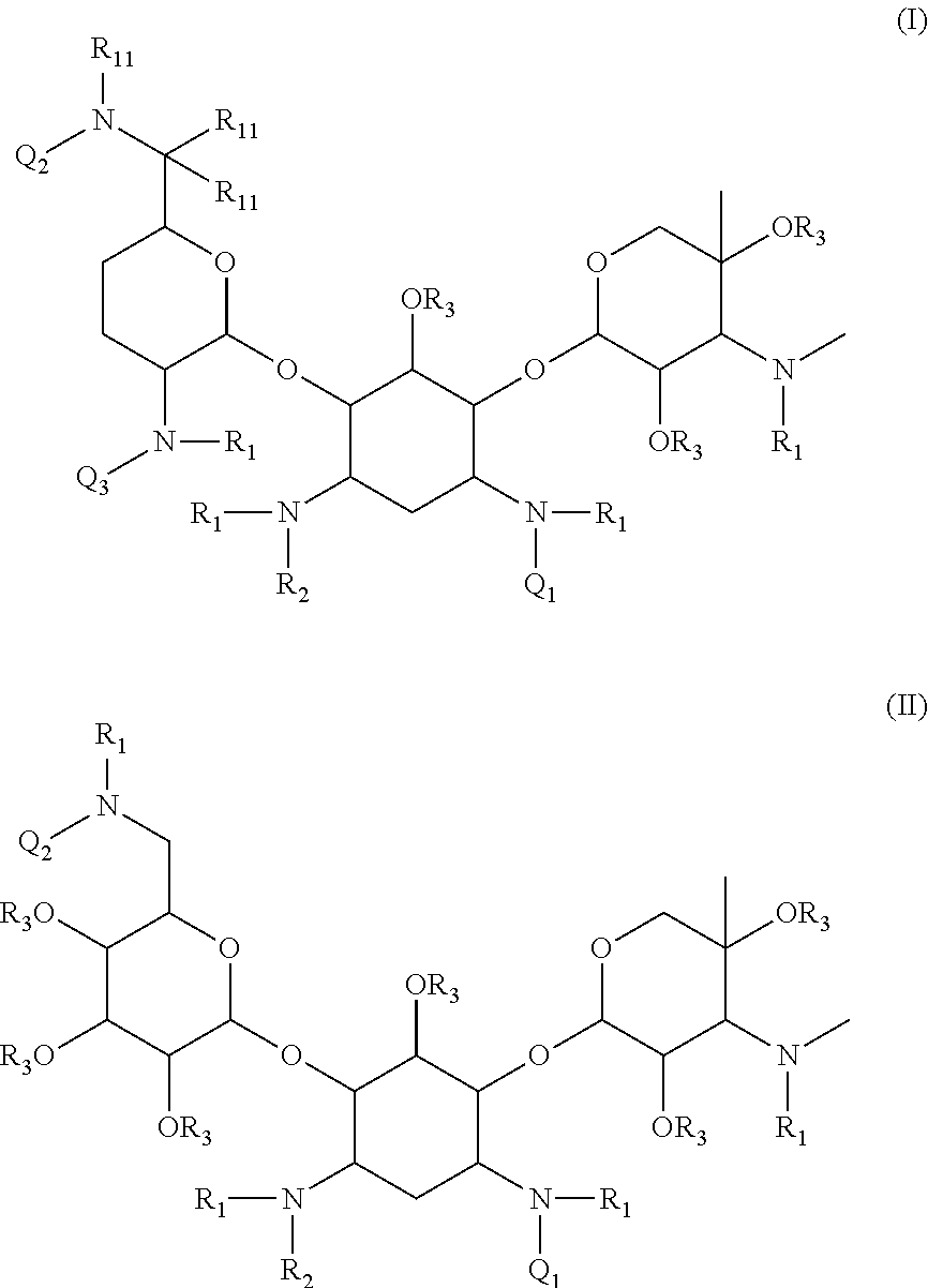 Antibacterial aminoglycoside analogs