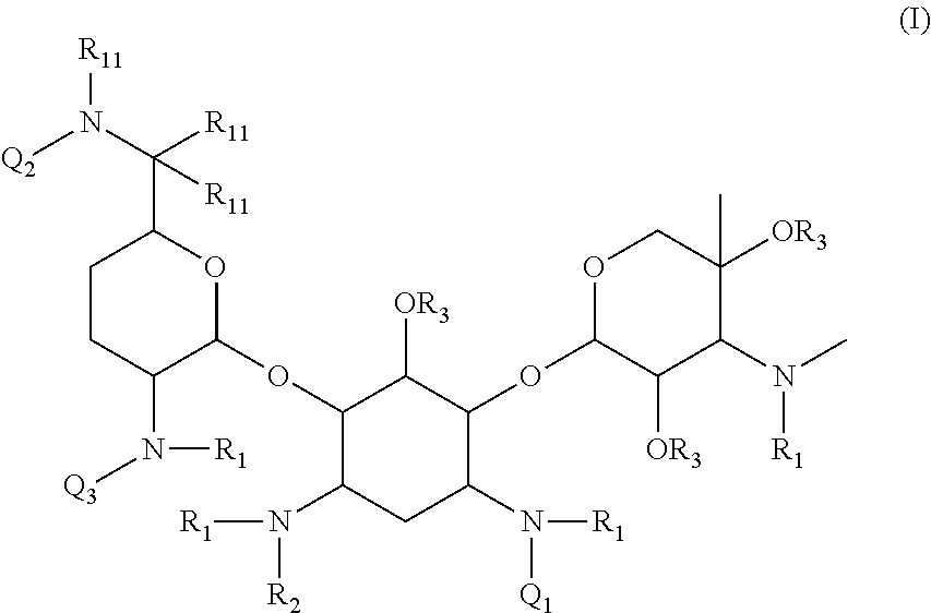 Antibacterial aminoglycoside analogs