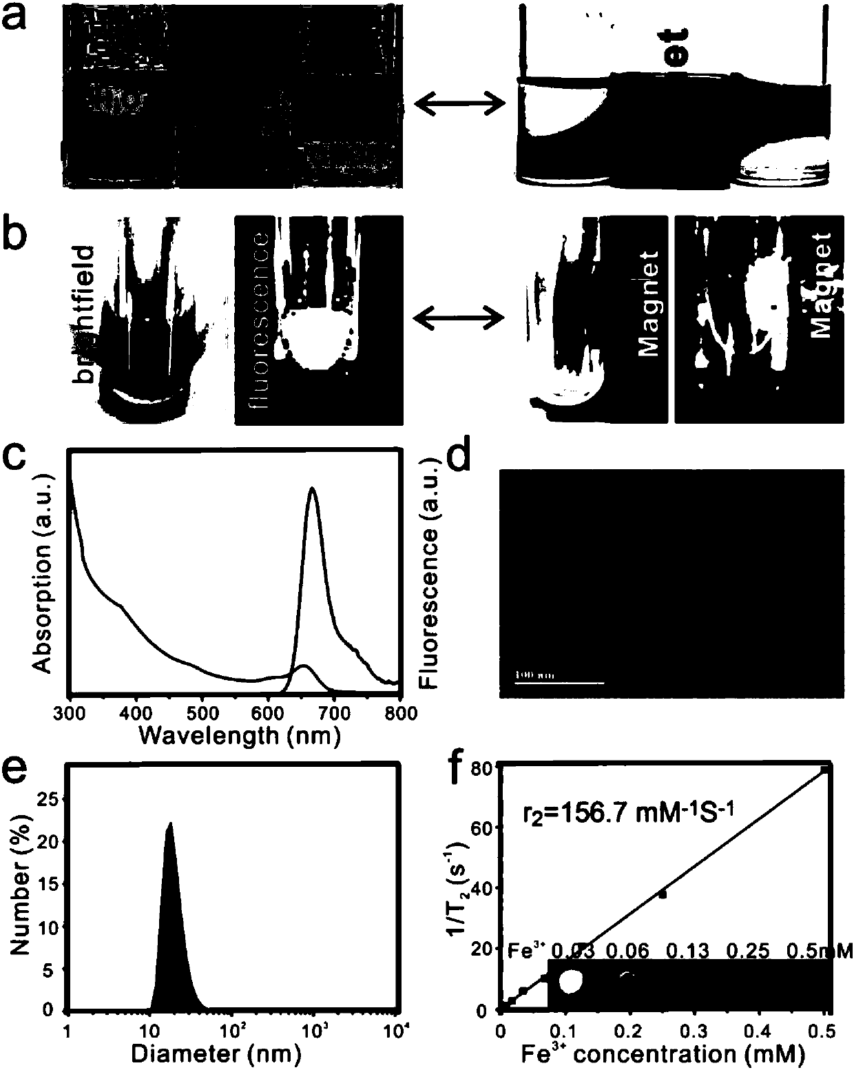 Tumor mitochondrial targeting magnetic nanoprobe, and preparation method and application thereof