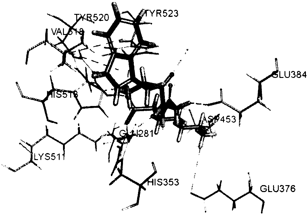 Tripeptides with ACE (angiotensin converting enzyme) inhibitory activity