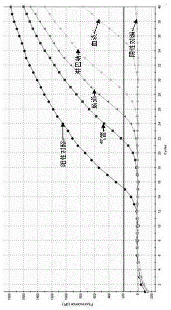 A taqman Real-time RT-PCR kit for detection of Peste des petits ruminants virus