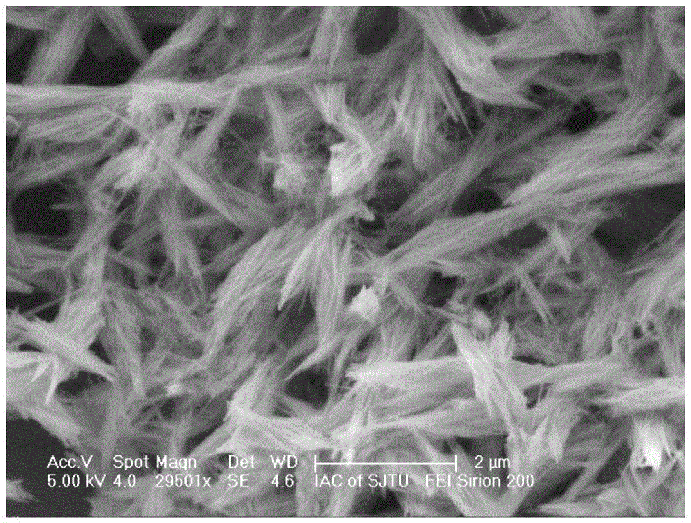 Material based on bismuth oxycarbonate or bismuth oxide nano tube and preparation method thereof