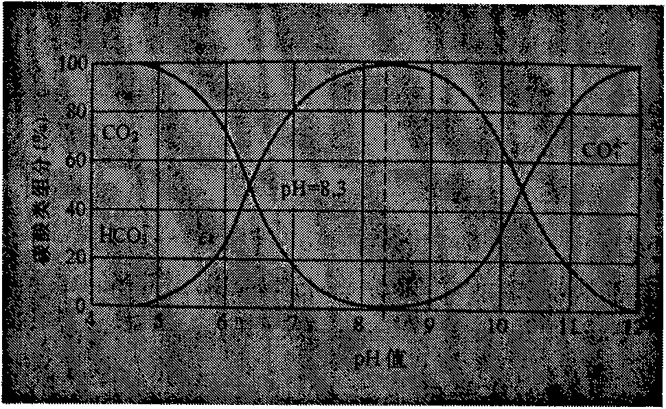 Method for rapidly evaluating performance of reverse osmosis antisludging agent by determining pH value of solution