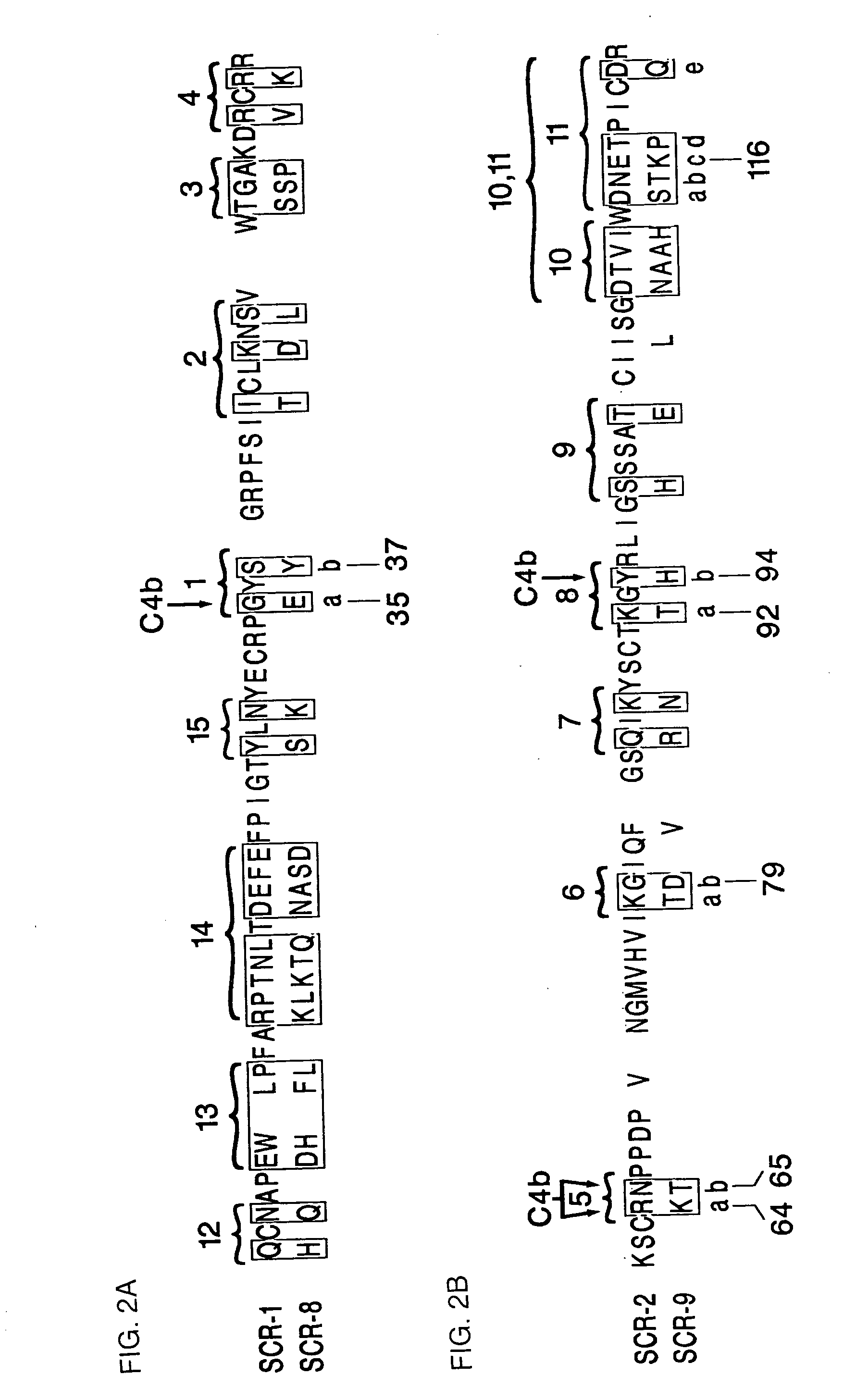 Modified truncated complement system regulators