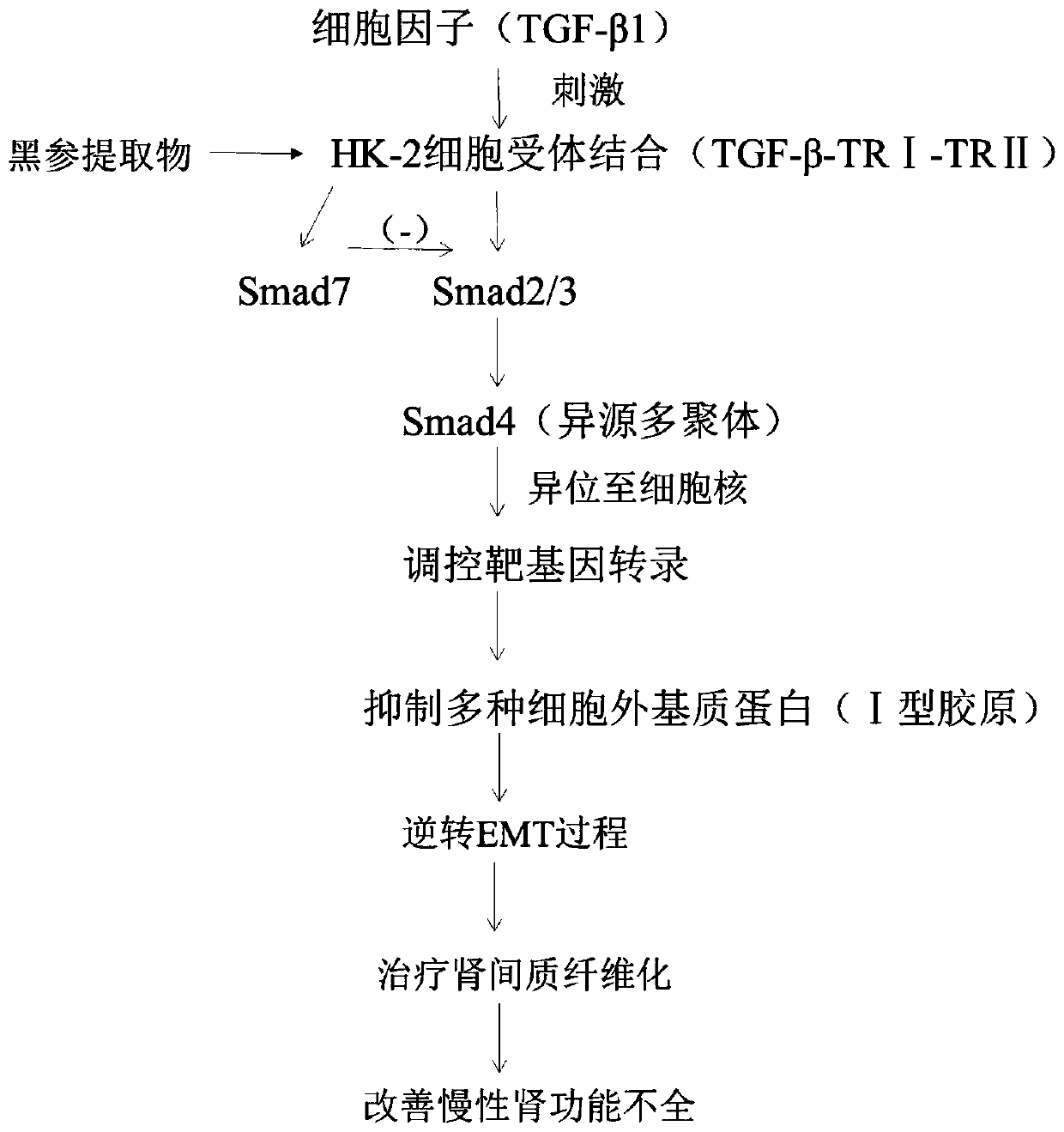 Composition for improving kidney dysfunction, black ginseng extract and preparation method and application thereof