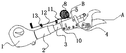 Collection device and collection method for ripened cones of abies of Fanjing mountain