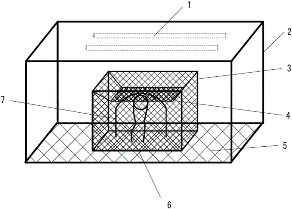 Method for efficiently reproducing brachymeria lasus by taking corcyra cephalonica pupae as hosts