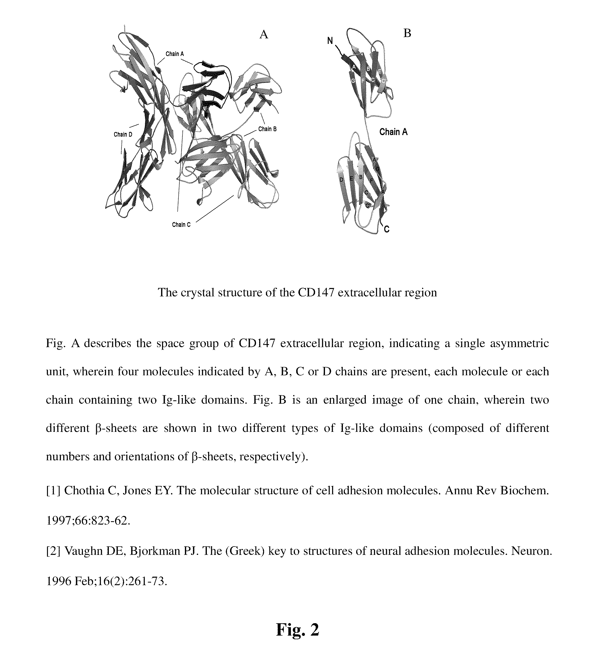 Crystal structure of cd147 extracellular region and use thereof